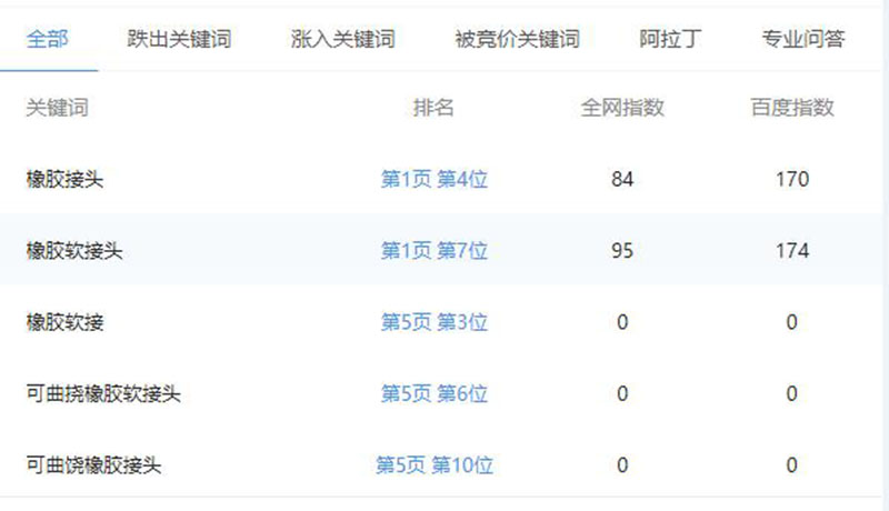 橡膠接頭行業(yè)關(guān)鍵詞排名